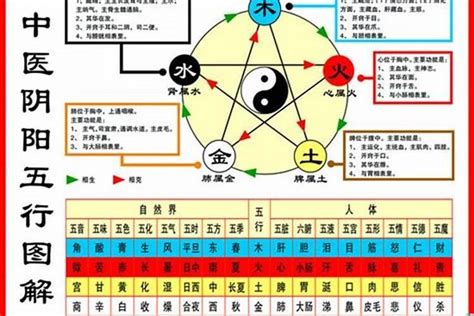 1984屬鼠|1984年属鼠的是什么命，84年出生的鼠五行属什么